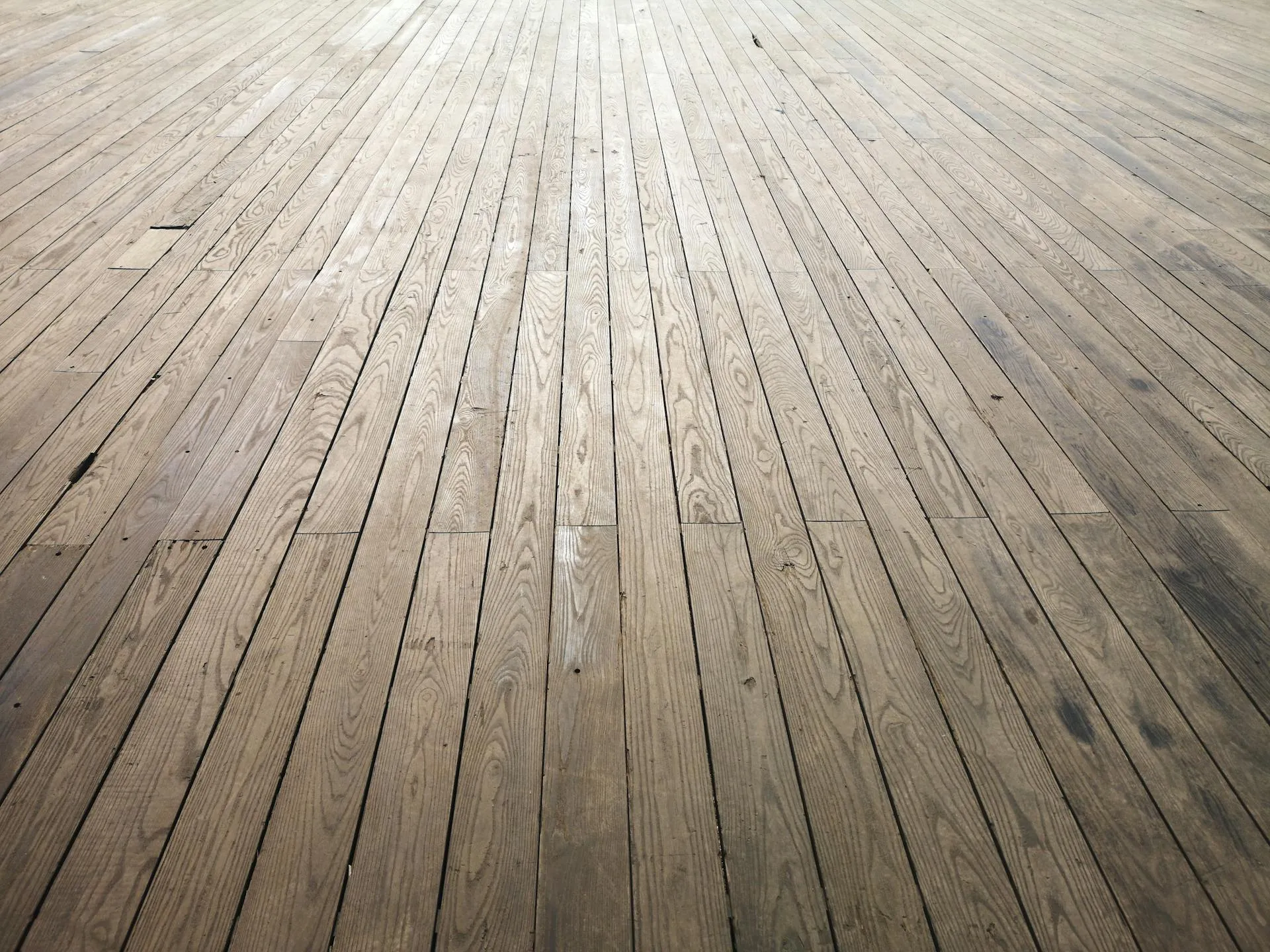 Clean polished timber floorboards in a renovated Adelaide character home after termite remediation